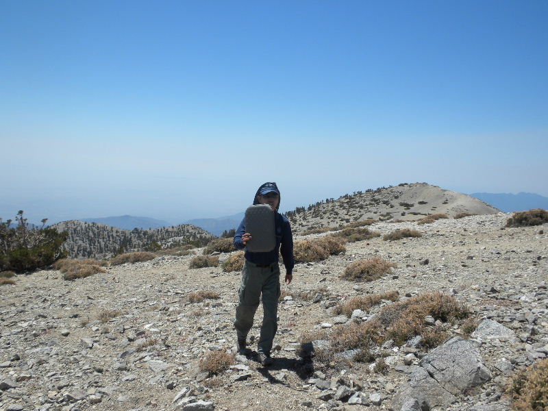 baldy8909 033.jpg