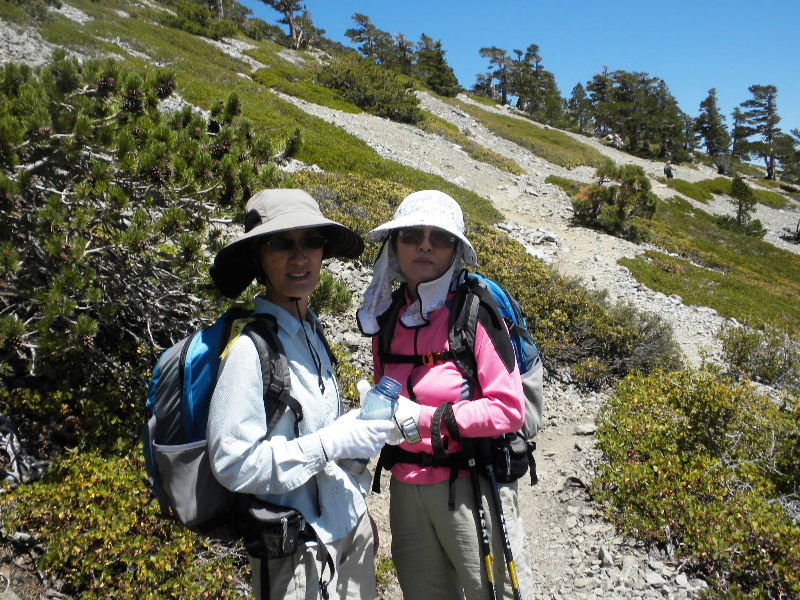 baldy8909 055.jpg