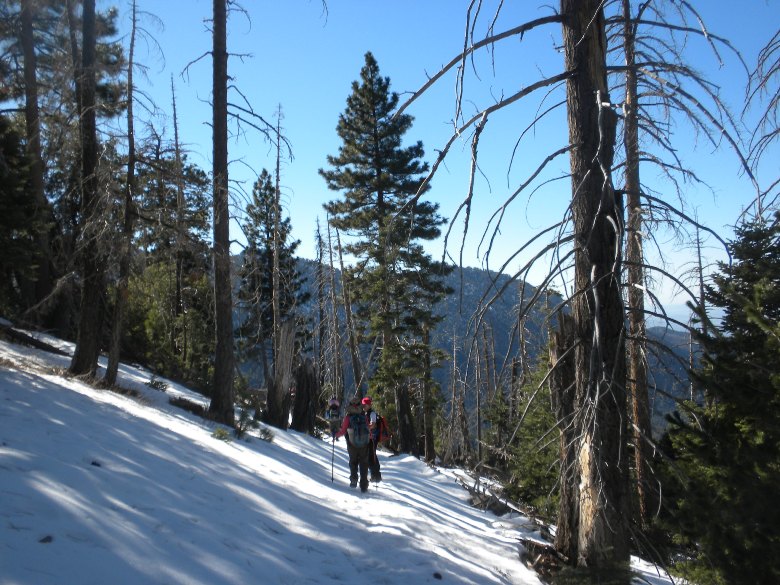 dobbscanyon12311 027.jpg