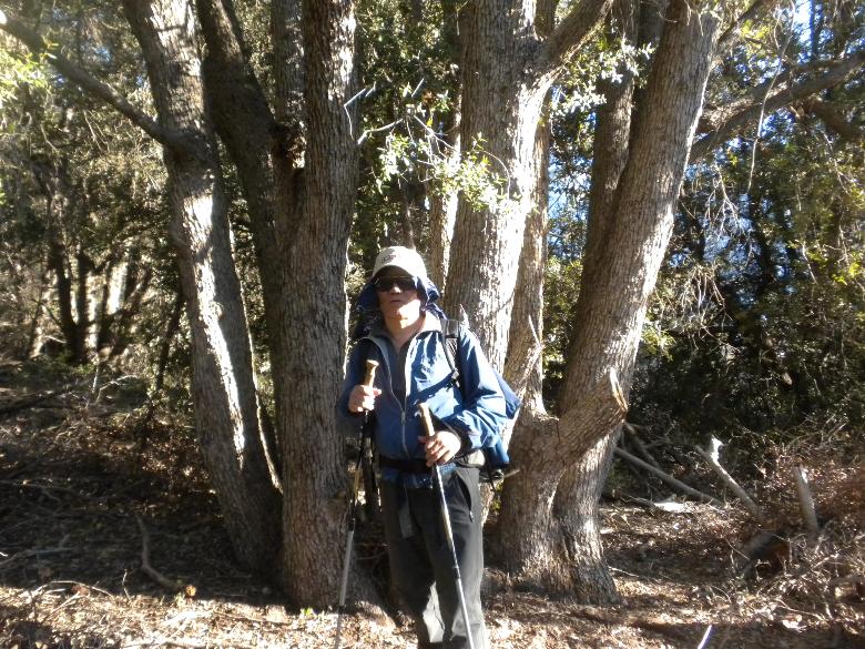 dobbscanyon12311 049.jpg