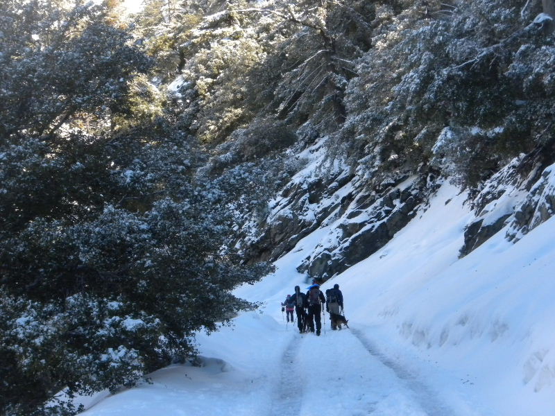 baldy22810 017.jpg