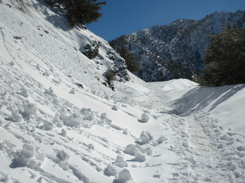 baldy22810 022.jpg
