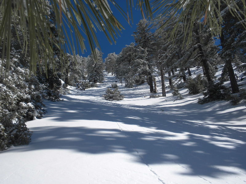 baldy22810 029.jpg