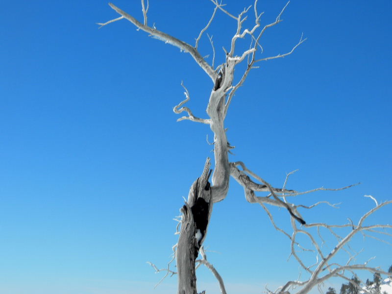 baldy22810 035.jpg