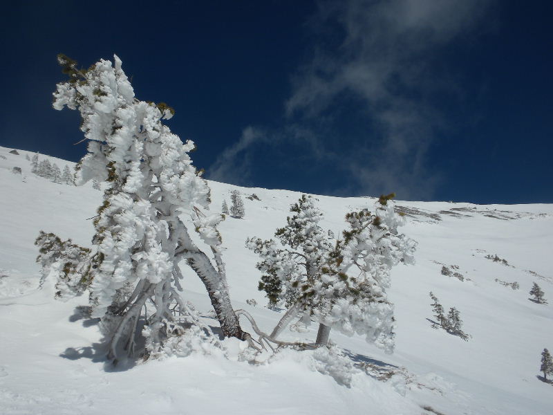 baldy22810 058.jpg