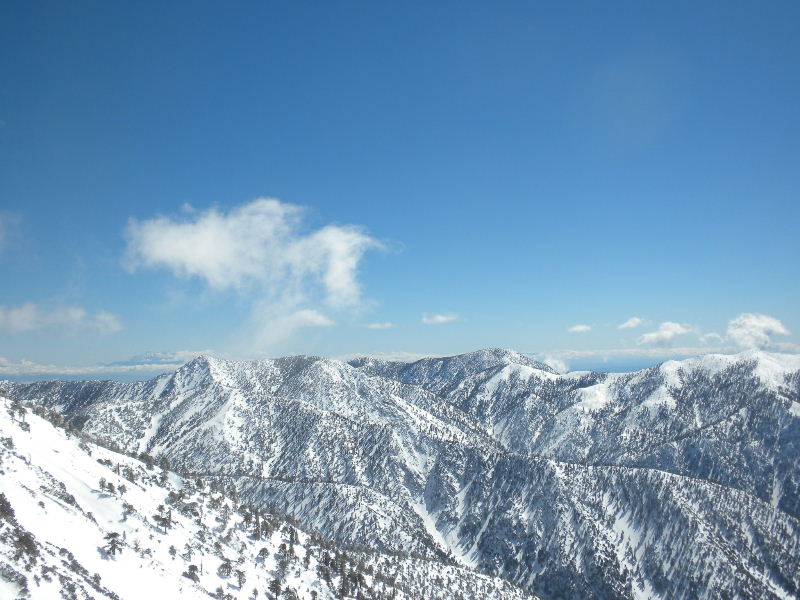 baldy22810 064.jpg