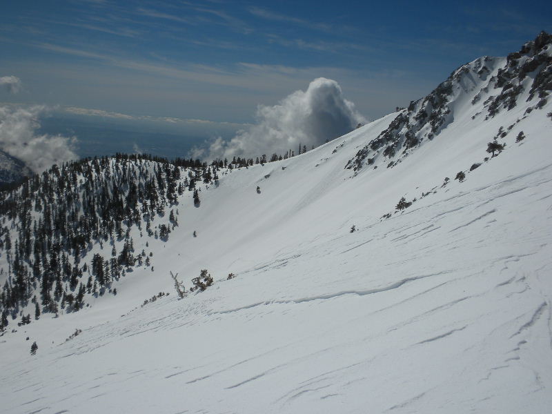 baldy22810 066.jpg