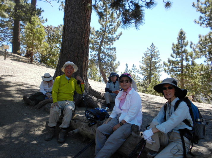 bighorn709 018.jpg