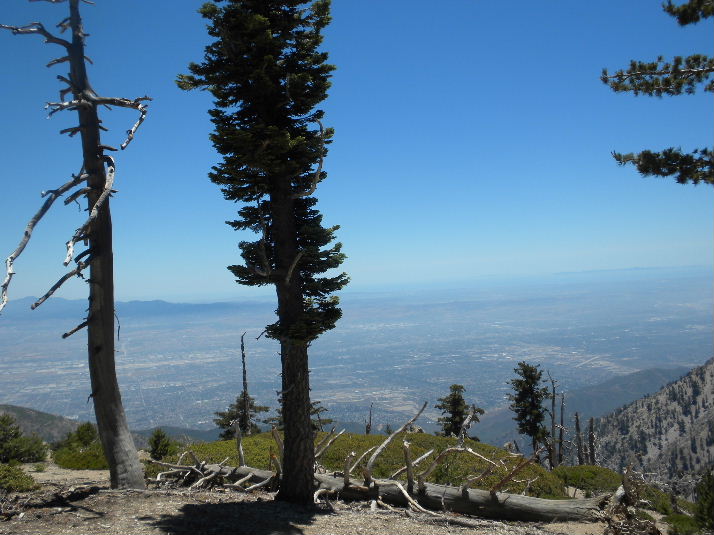 bighorn709 024.jpg