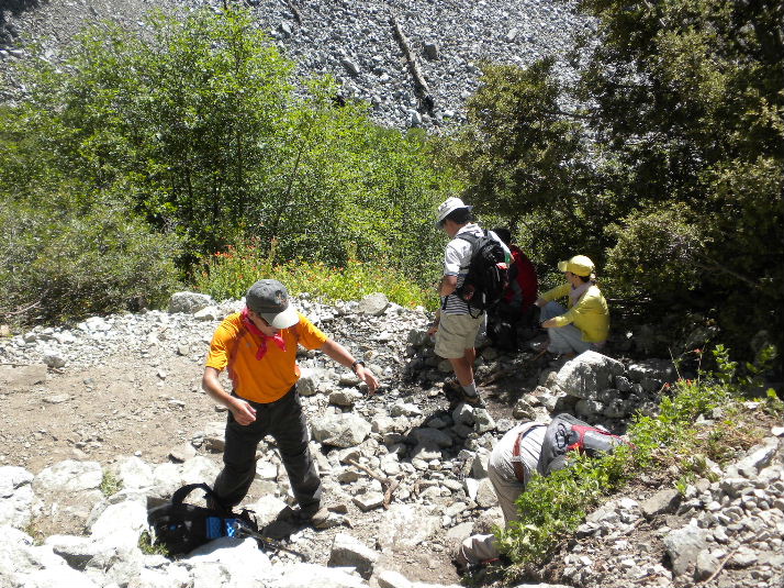 bighorn709 036.jpg