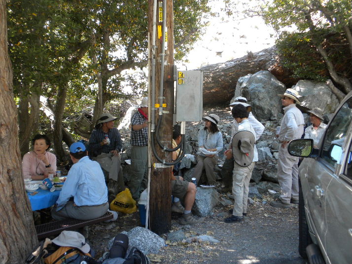 bighorn709 053.jpg