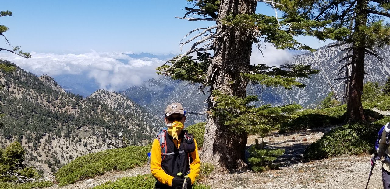 1591576185244-10.jpg : Telegraph Peak 6월 7일 Post COVID ReOpening