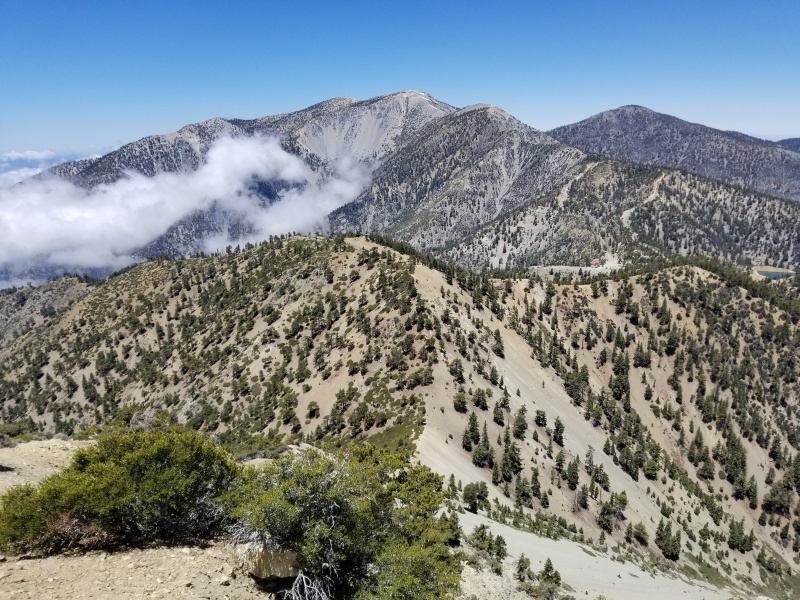 1591584660748-9.jpg : Telegraph Peak 6월 7일 Post COVID ReOpening