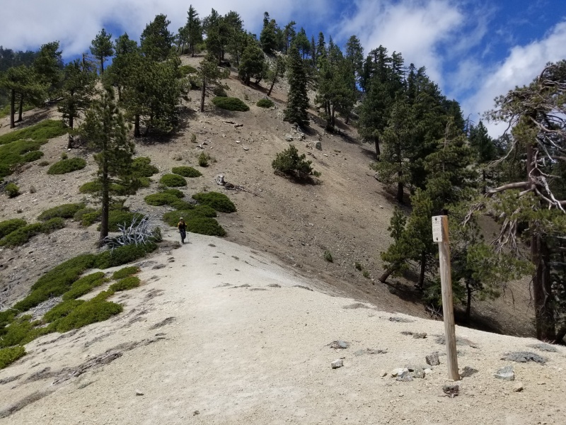 1591584660748-6.jpg : Telegraph Peak 6월 7일 Post COVID ReOpening