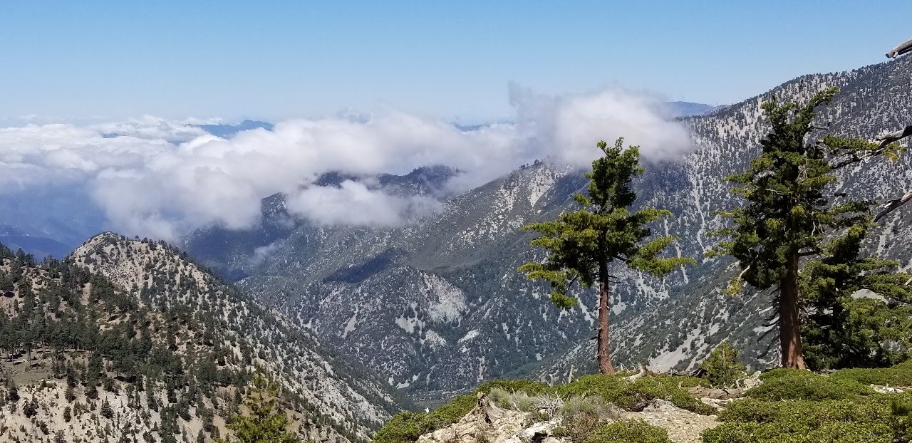 1591576185244-8.jpg : Telegraph Peak 6월 7일 Post COVID ReOpening