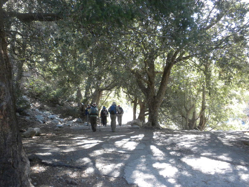 cucamonga5111 014.JPG