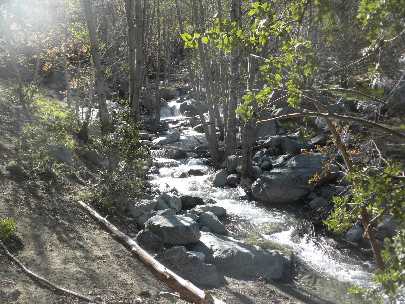 cucamonga5111 018.JPG
