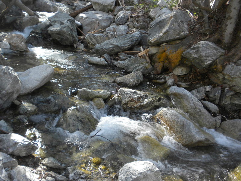 cucamonga5111 024.JPG