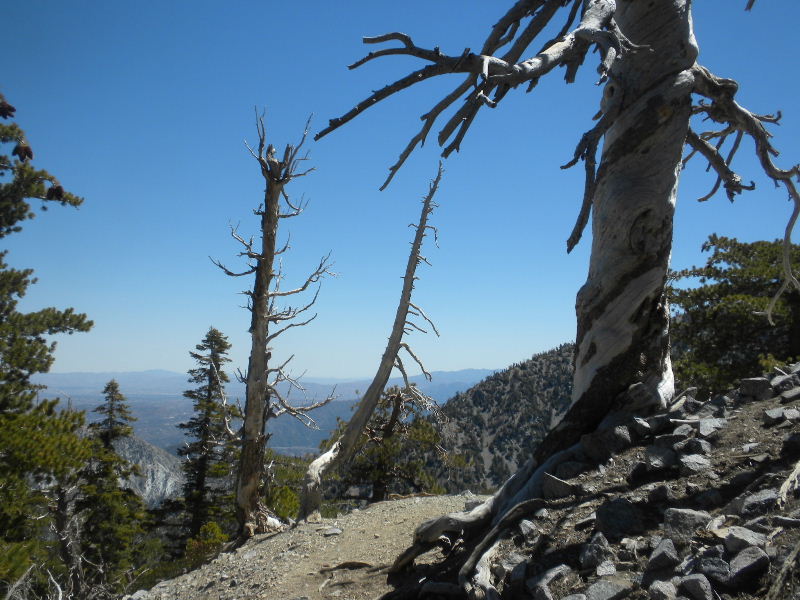 cucamonga5111 036.JPG