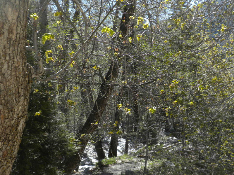 cucamonga5111 058.JPG