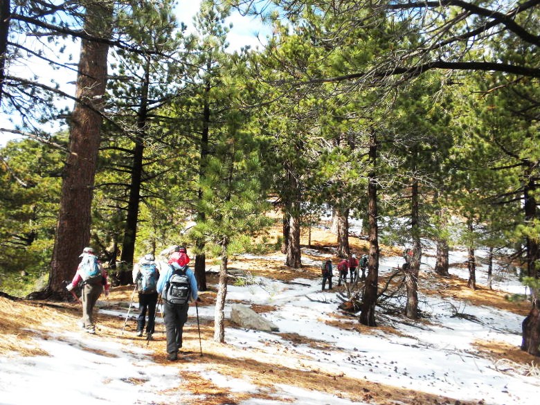 twinpeak111311 026.JPG
