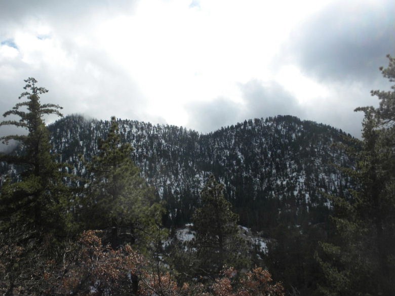 twinpeak111311 046.JPG