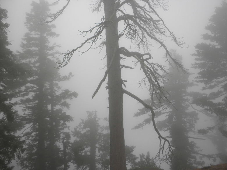 twinpeak111311 052.JPG
