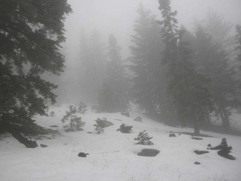 twinpeak111311 055.JPG