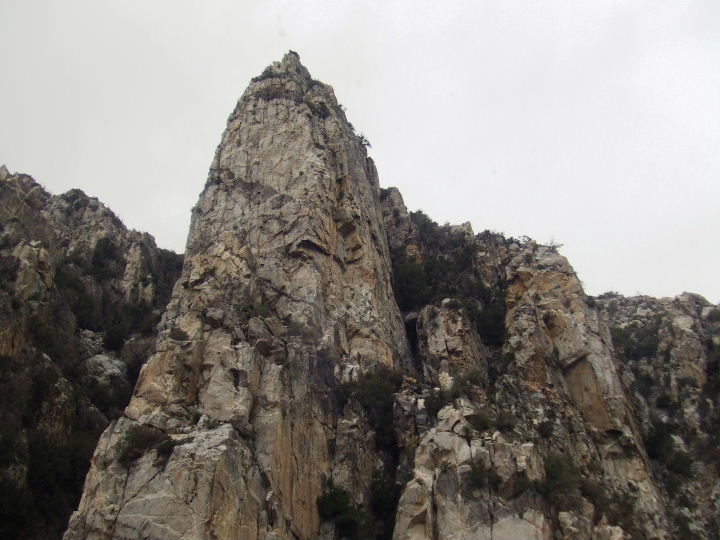 sanjacinto120708 009.jpg