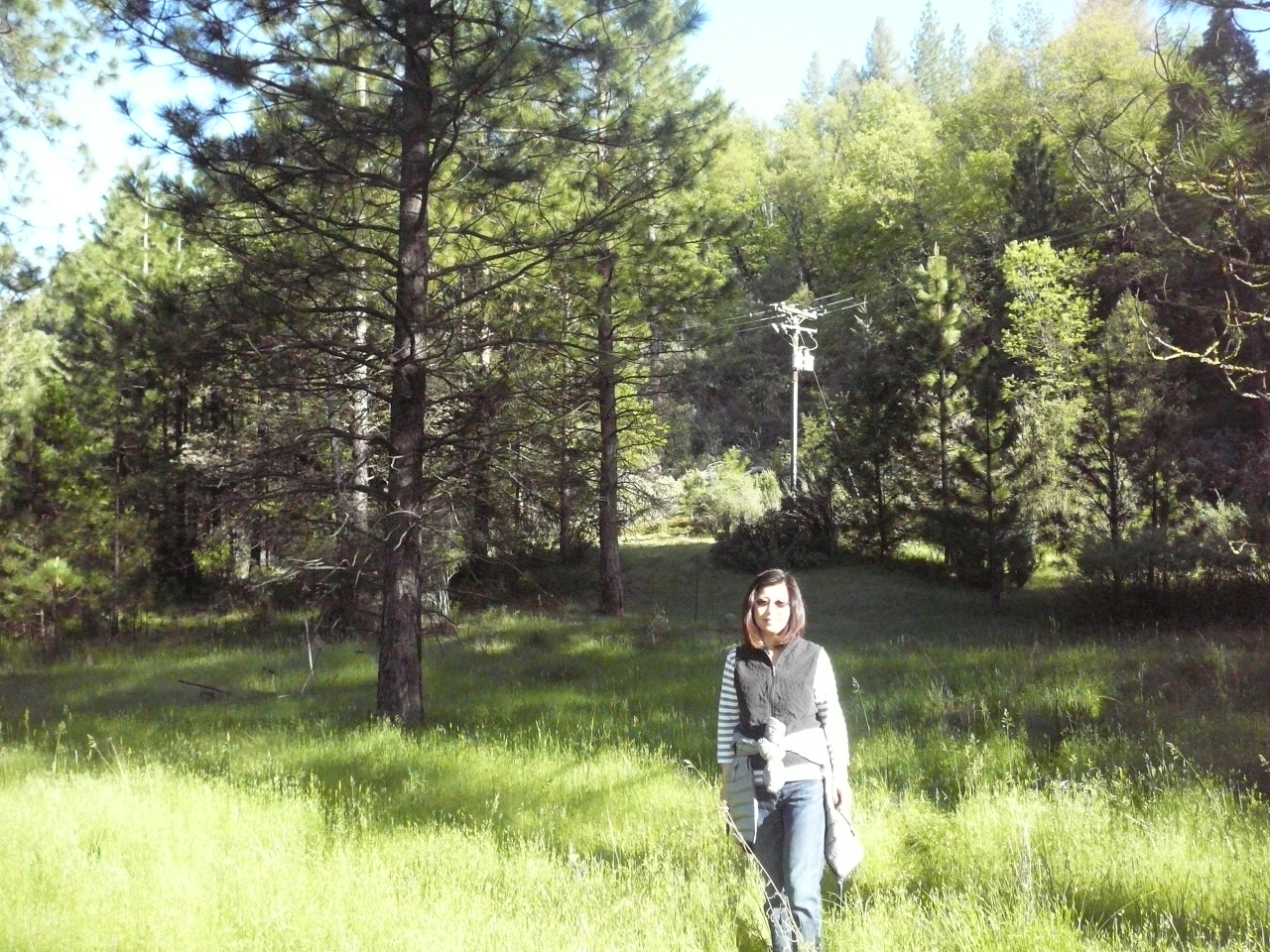 yosemite  05-29-2010 027.jpg