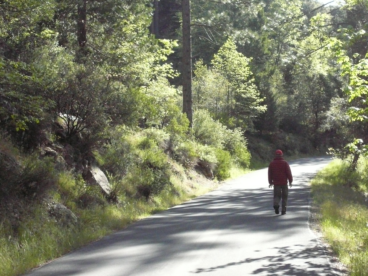 yosemite  05-29-2010 031.jpg