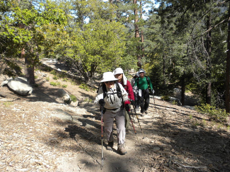 marion61309 039.jpg