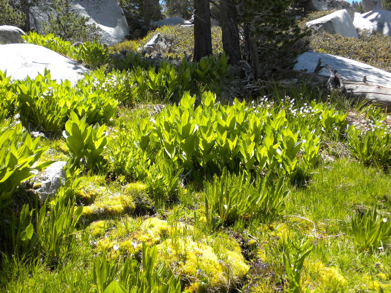 marion61309 061.jpg