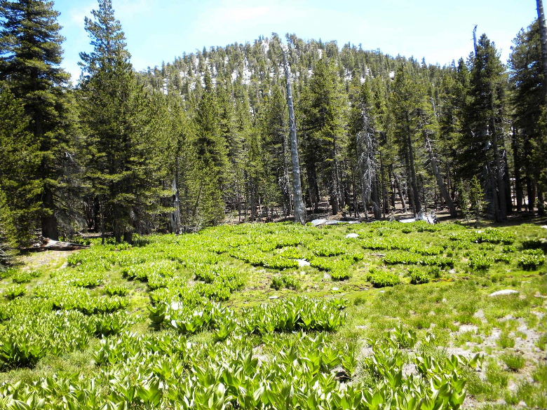 marion61309 068.jpg