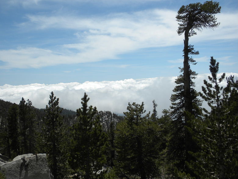 marion61309 076.jpg