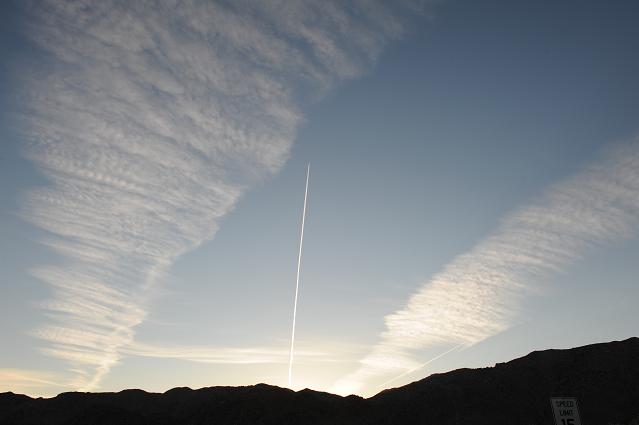 DSC_8437.JPG