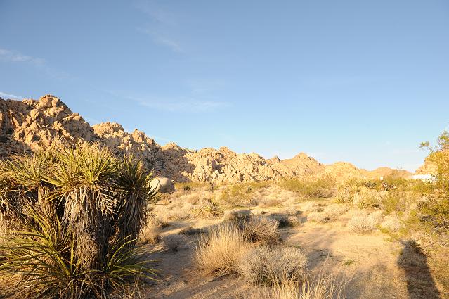 DSC_8445.JPG