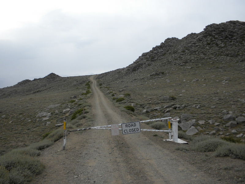 whitemountain823 035.jpg