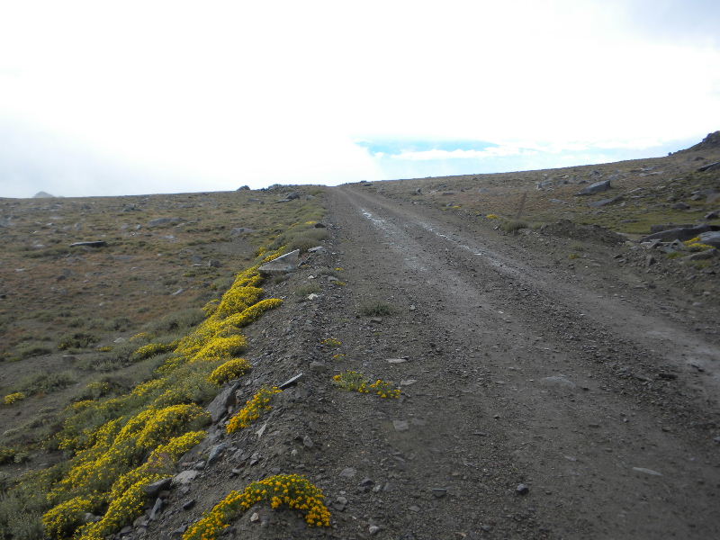 whitemountain823 051.jpg