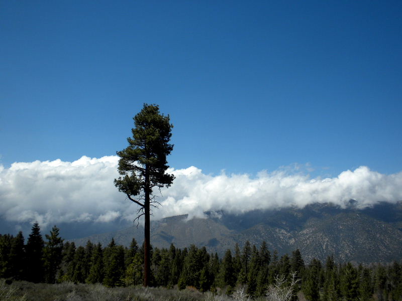 DLake50910 069.jpg
