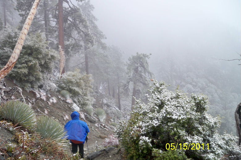 ice house canyon ,mt baldy 013.jpg