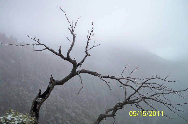ice house canyon ,mt baldy 014.jpg