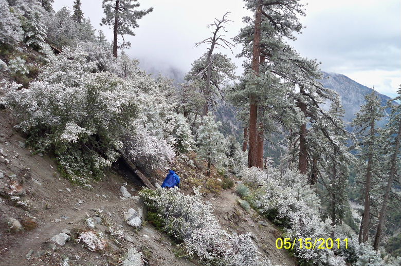 ice house canyon ,mt baldy 021.jpg