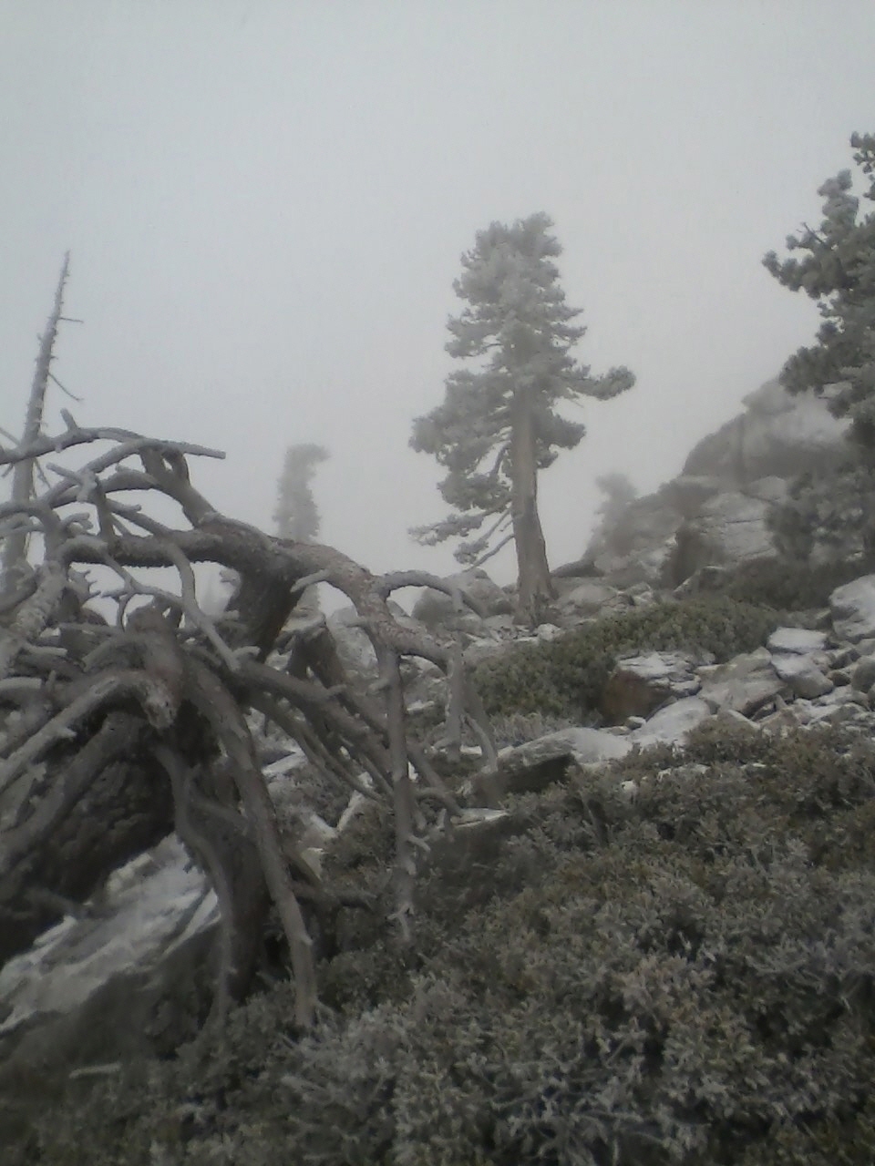 1120111148a.jpg