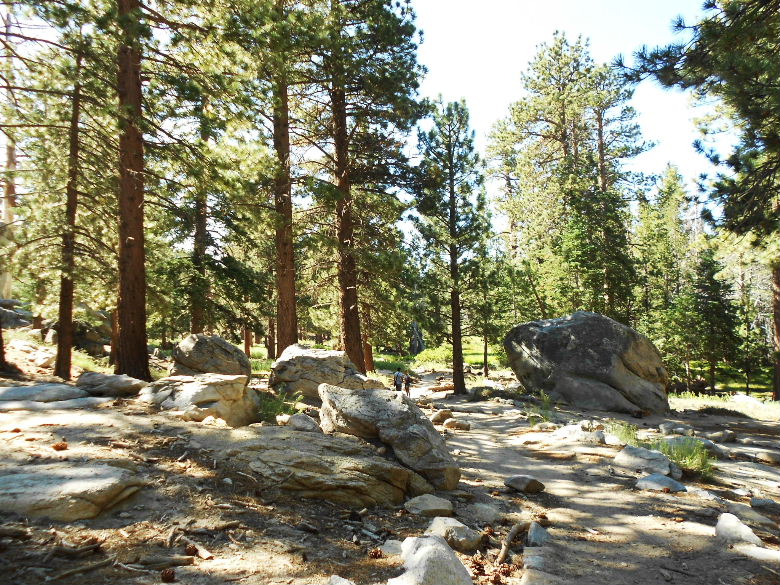 sanjacinto81411 044.JPG