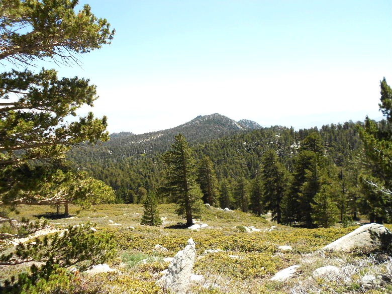 sanjacinto81411 056.JPG