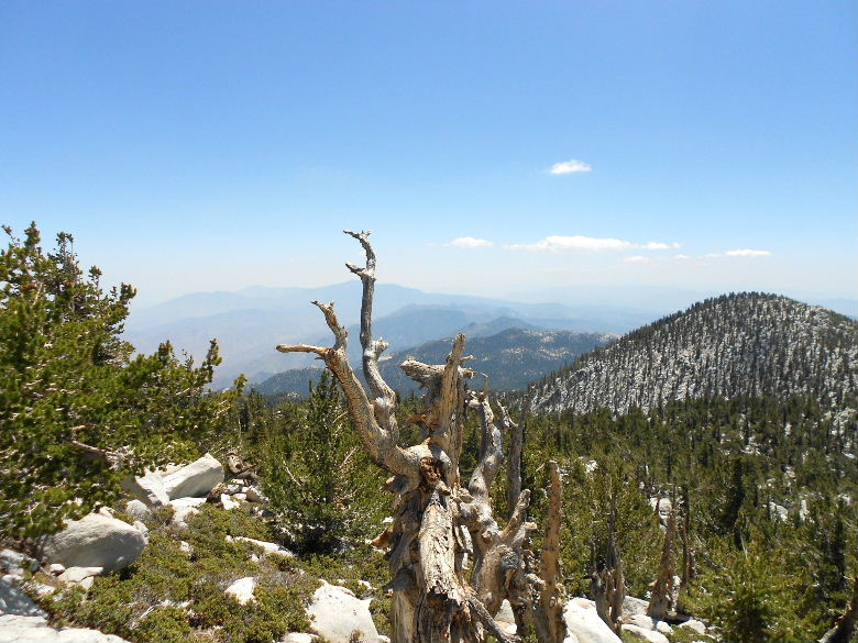 sanjacinto81411 064.JPG