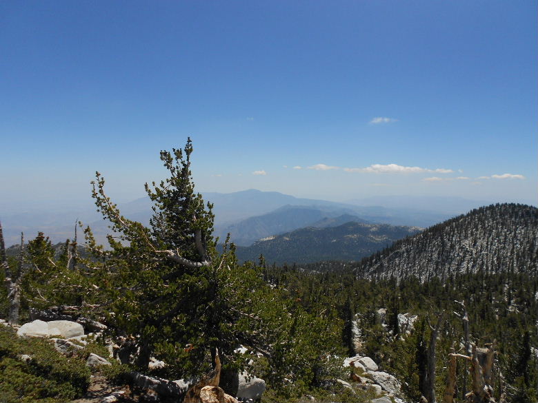 sanjacinto81411 066.JPG