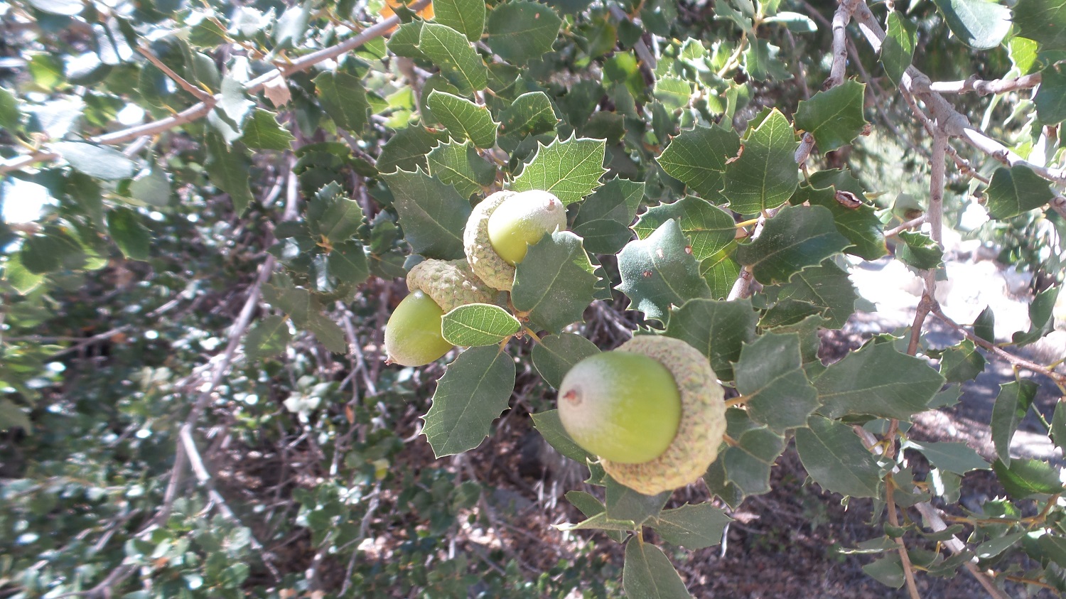 20161003_134253.jpg