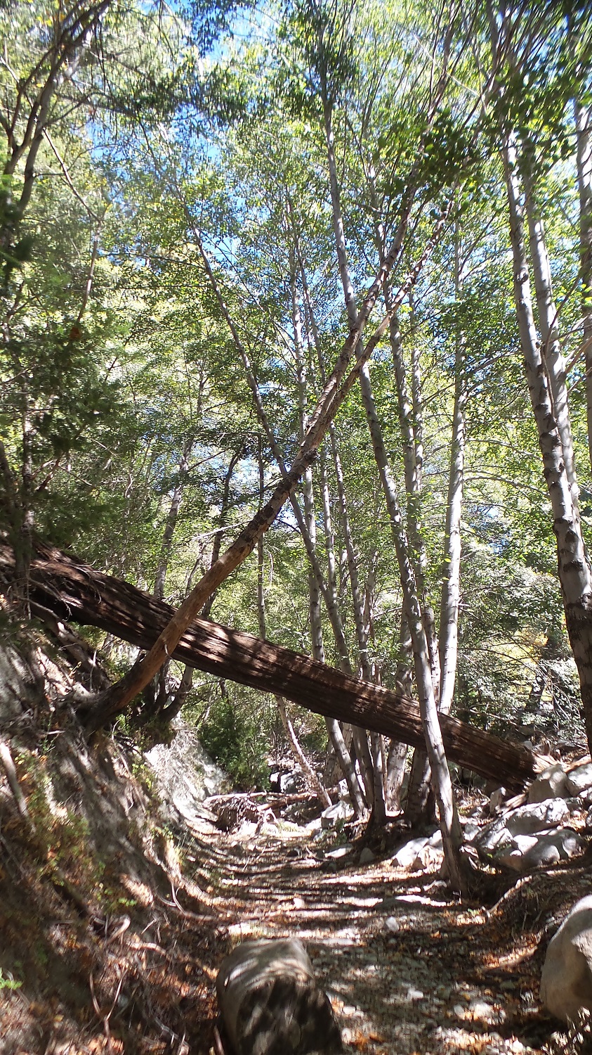 20161003_135045.jpg